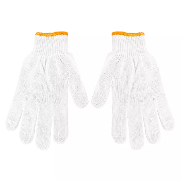 Kosmetikerin Liefert Anti-Haustierbiss-Handschuh Handschuhe Goldener Bär