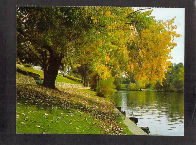 C8463 Australia SA Adelaide River Torrens Autumn Trueview postcard