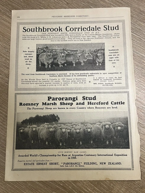 VINTAGE ADVERT LIVESTOCK FARMING SHEEP NEW ZEALAND WAIKAKA PARORANGI  1920s