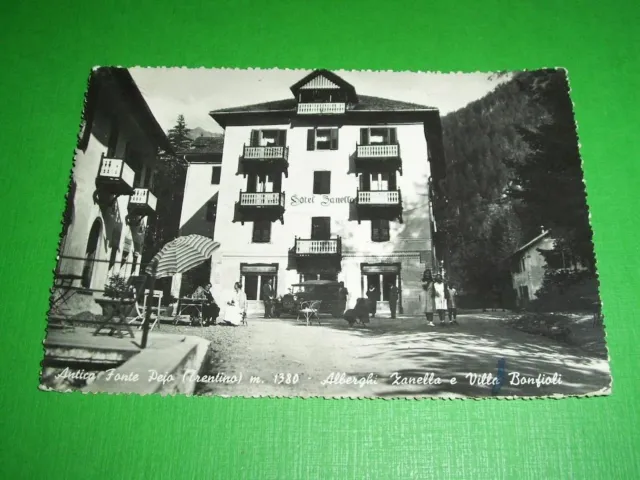 Cartolina Antica Fonte Pejo - Alberghi Zanella e Villa Bonfioli 1954.