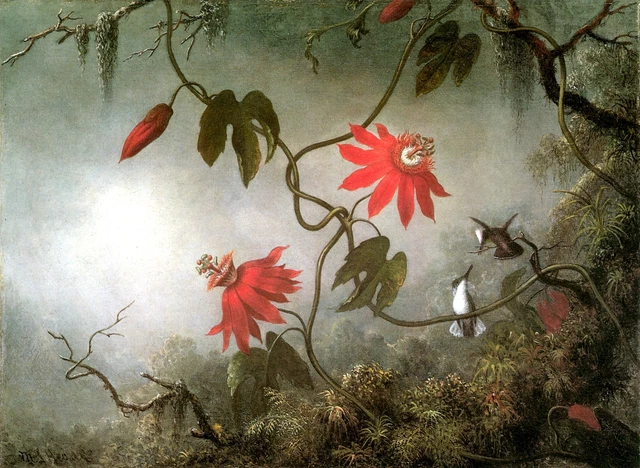 Flower - Nature Decorative Poster. Fine Graphic Art. Wall Interior Design 2263