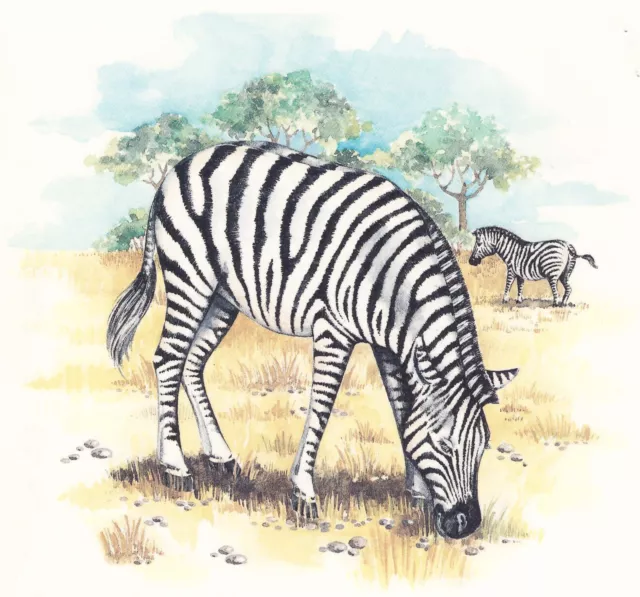 Calcomanía de cerámica tobogán acuático Zebra African Landscape 1 pieza 6-1/2"" X 6