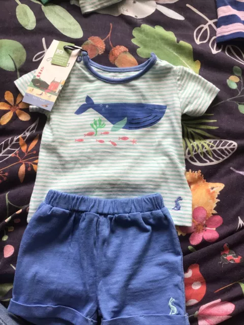 New baby boys joules blue stripe whale shorts outfit, age 0-3 Months