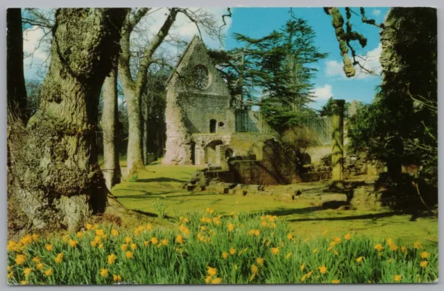 Postcard Dryburgh Abbey Melrose Roxburghshire Scotland Unused