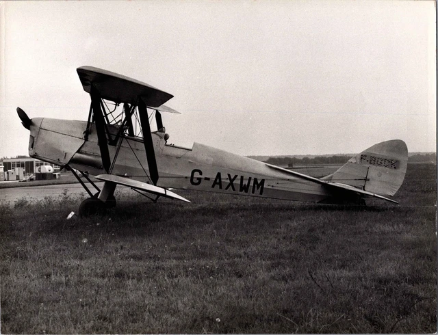 De Havilland Tiger Moth G-Axwm Blackbushe Large Vintage Photo