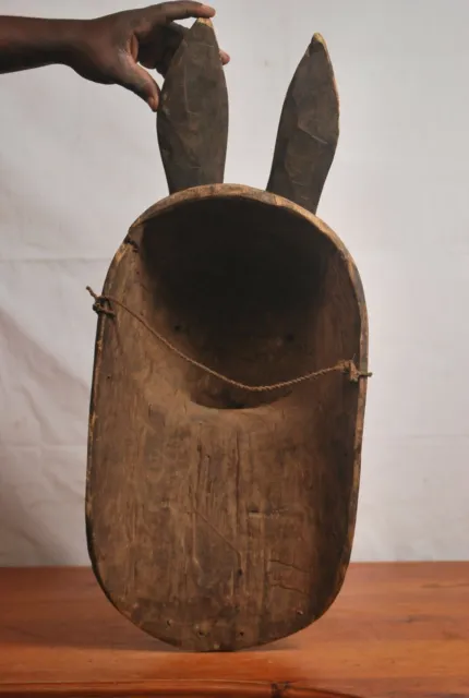 African art, Amazing luba rabbit Animal mask from katanga Congo (Zaire) 7