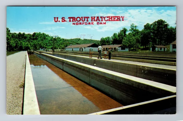 Mountain Home AR-Arkansas, US Trout Hatchery Norfork Dam, Vintage Postcard
