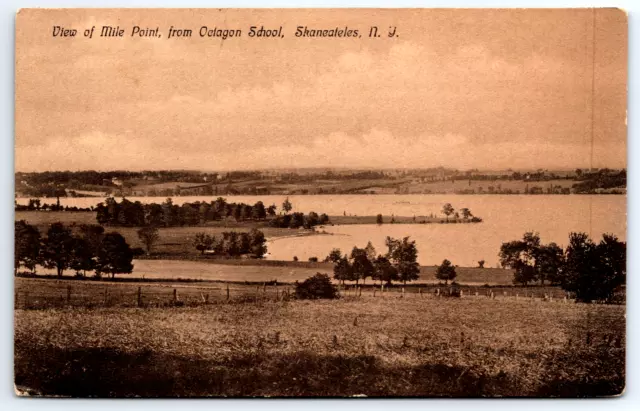 Postcard Skaneateles New York View of Mile Point from Octagon School c1910