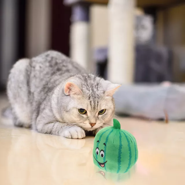 Jouet En Peluche Pour Jouets À Mâcher Petits Chiens