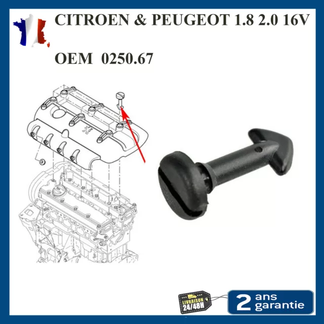 Lot de 2 Clips de Fixation arrière Autocraft compatible Peugeot