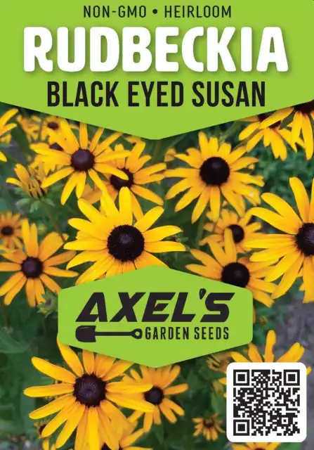 Black Eyed Susan Seeds - Heirloom Perennial Non-GMO Flower Rudbeckia Seeds 2