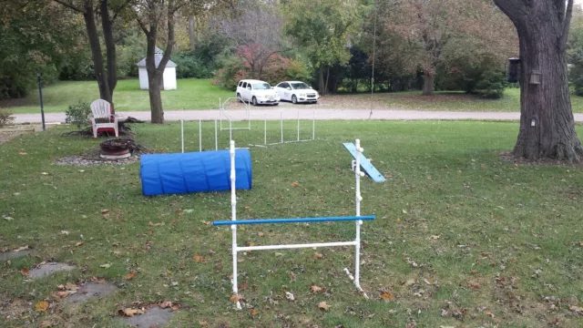 Équipement Dog Agility, barre de saut réglable, entraînement d'agilité  3