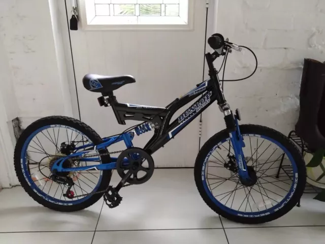 DUNLOP REALM MOUNTAIN bike Blue 20 wheels fully serviced 35.00 PicClick UK