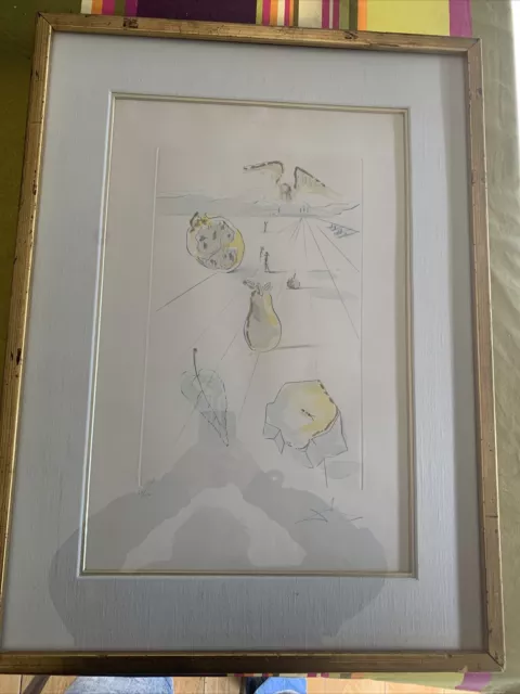 Dali Fruits Of Thé Valley Lithographie Originale 1971 Signée Au Crayon 53/250