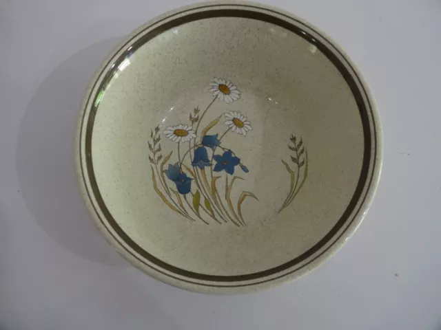 ROYAL DOULTON HILL TOP - Ciotola cereali/zuppa 6,25" - diversi disponibili