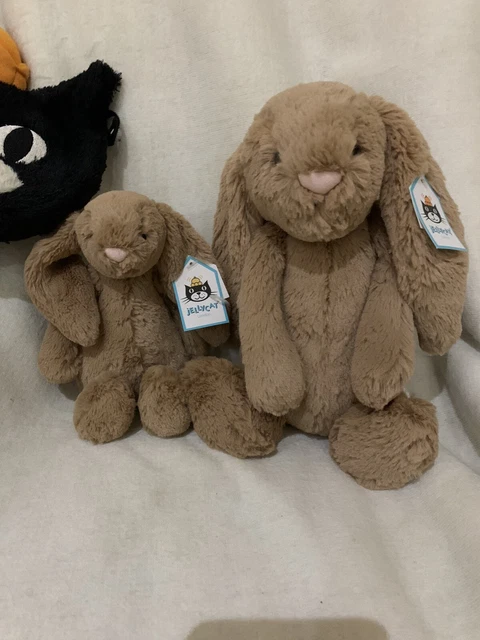 Jellycat biscuit bunny shop