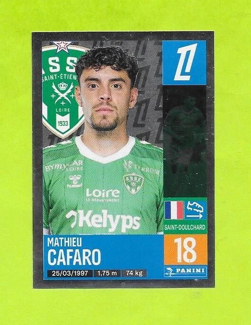 Lot 18 Vignettes Panini Foot 1989 - ASSE St Etienne - Complètes à Découper - Italie