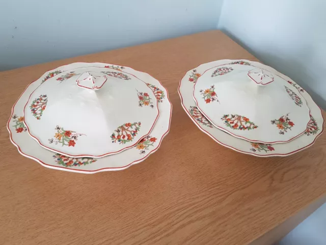 Pair Vintage Myott & Son Co England Terrine Dishes Lidded Floral Serving Bowls