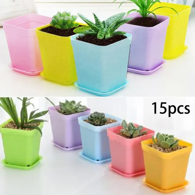 Mini conteneurs de plantes colorés pour installation de bureau à domicile lot