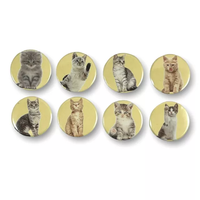Cute Cat Kitten 1 Inch Magnets for Fridge, Whiteboard, Kitchen Locker