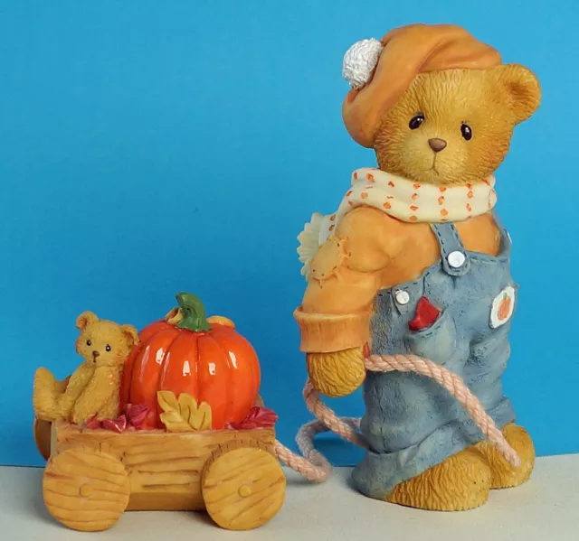 Cherished Teddies - DANIEL - ! NEU mit OVP & Zertifikat ! - Rarität von 1996