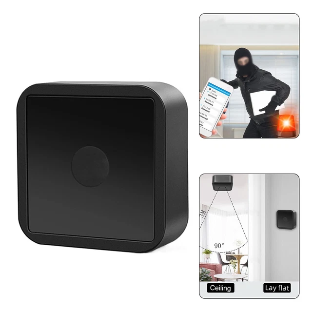 Subtle Human or Animal Movement Detection with Accurate Identification