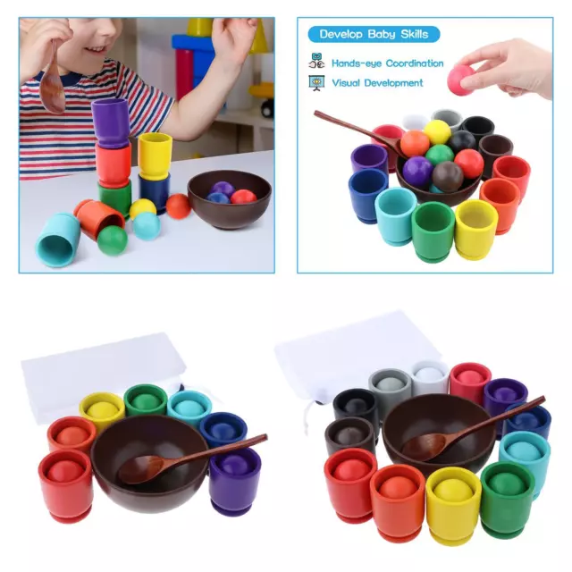Regenbogenbälle in Tassen, Montessori Spielzeug für die frühe Bildung von