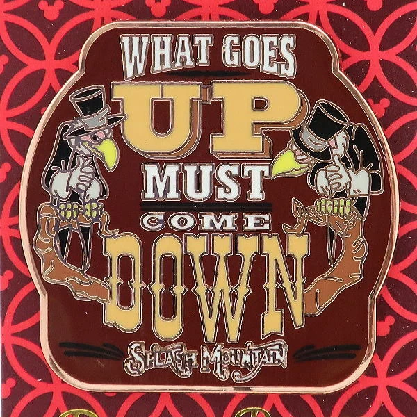 Disney Vulture Song of the South Splash Mountain Pin USA Disney Theme Parks 20