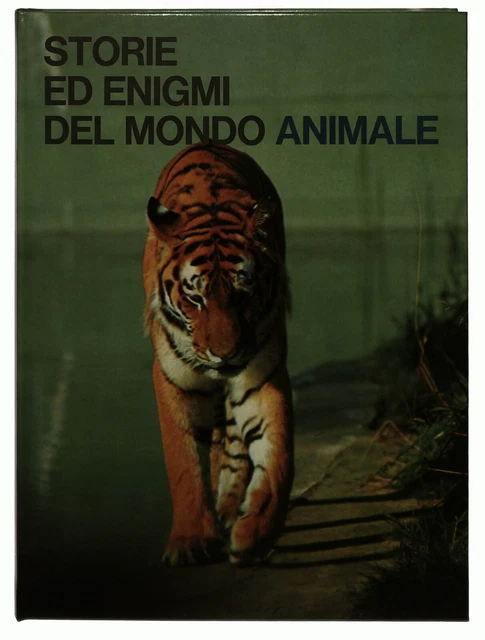 L'antico Libro degli Enigmi - Libro di Fabrice Mazza