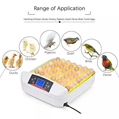 56 Egg Incubator with Humidity Display Egg Candler Automatic Egg Turner Chickens 3