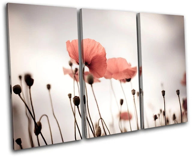 POPPY FIELD FLOWERS Floral TREBLE TOILE murale ART Photo Print EUR 74