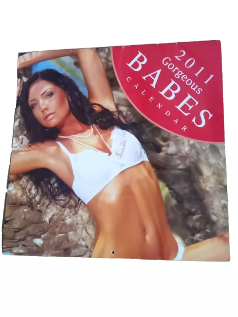 GORGEOUS BABES  2011 CALENDAR (glamour pin-up girls vintage, retro, art)