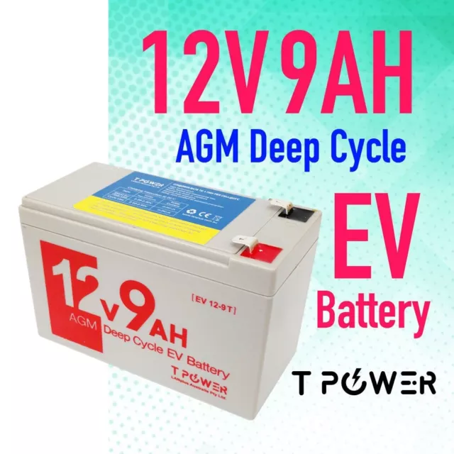 Tpower 12v 9ah AGM Rechargeable Sealed Lead Acid EV Battery f eBike Scooter