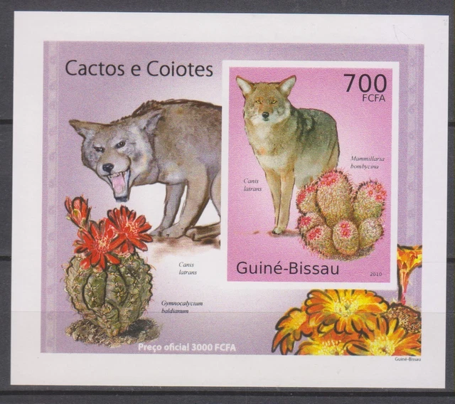 Guinée-Bissau 2438-2449 Feuille Miniature (complète.Edition.) neuf avec Gomme Originale ** MNH 2003 Animaux Afrique (Timbres pour Les collectionneurs) Autres mammifères (singes/Dinosaures/éléphant Guinée-Bissau 2438-2449 Feuille Miniature (complète.Edition.) neuf avec Gomme Originale ** MNH 2003 Animaux Afrique (Timbres pour Les collectionneurs) Autres mammifères (singes/Dinosaures/éléphant