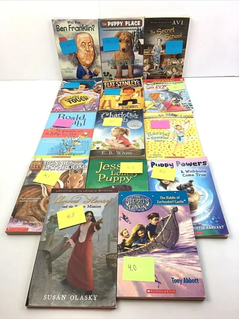 AR Reader Books Lot of 14 (Reading Levels 4.0-4.8) B9
