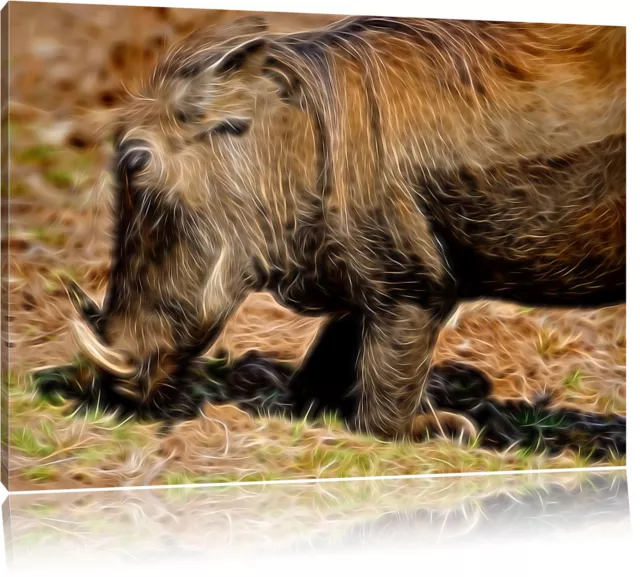 Warthog Durchwühlt Suelo Foto en Lienzo Decoración Pared Impresión Artística En