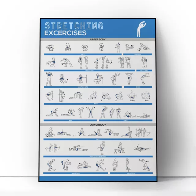 Stretching V2 Fitness Training Chart Workout Exercise Poster GYM *LAMINATED*