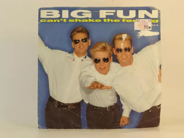 BIG FUN CAN'T SHAKE THE FEELING (60) 2 Track 7" Single Picture Sleeve JIVE RECOR