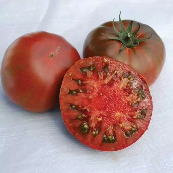 Brown Sugar Tomato from Russia - 5+ seeds - Graines - Semillas - Samen - P 036