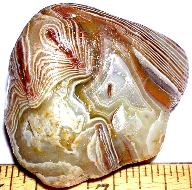 Lake Superior Agate Agates 2+oz 'KNOCKOUT!' Minnesota Rough Lapidary Gemstone