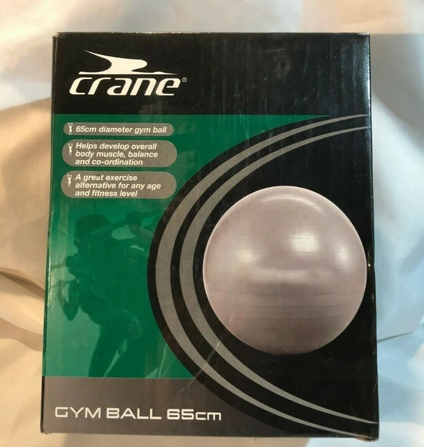 CRANE 65CM DIAMETER Gym Ball improves body muscle balance and co