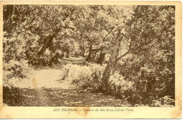 TUNISIE TUNISIA AIN-DRAHAM chemin du méridj au col des vents timbrée 1930