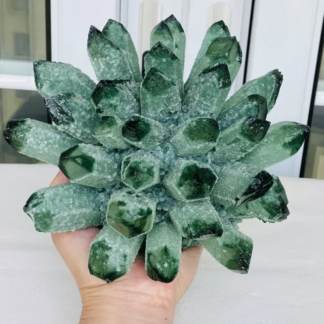 New Find Green Phantom Quartz Crystal Cluster Mineral Specimen Healing 3260G