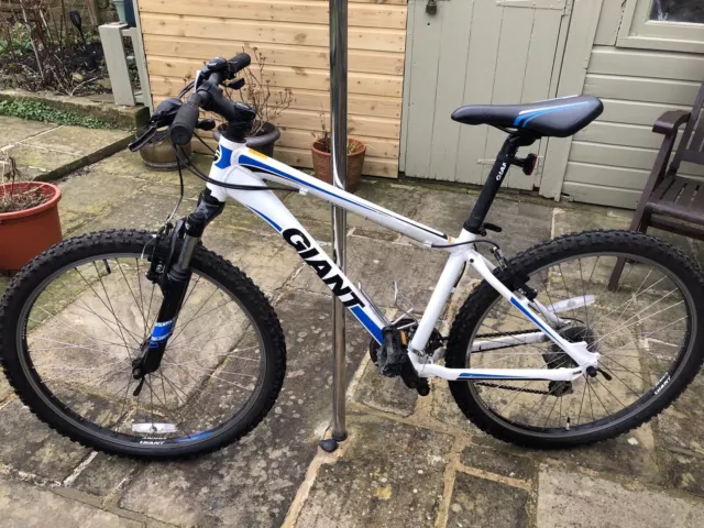 Giant revel shop xs frame size