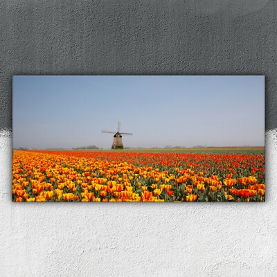 Pronto da appendere casa art a muro incorniciata 140x70 PAESAGGIO CAMPI colorati 