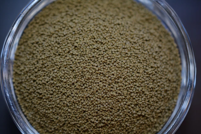 GOURMET 1.0mm HIGH PROTEIN,SLOW SINKING,FRY FOOD,Cichlids,Fry Food,Fish,ABF172
