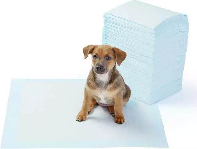 200 EXTRA LARGE 60 x 90 CM PUPPY TRAINER TRAINING PADS TOILET WEE