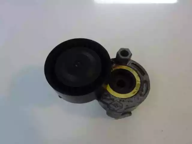 galet tendeur pour RENAULT CLIO III 1.5 DCI 2007 2011 89014