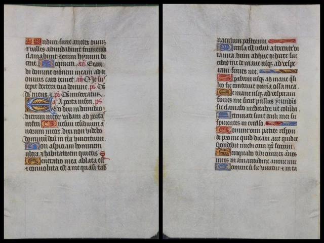 Illuminierte Grafia Su Pergamena Foglia Di Uno Miniatura Um 1500 (077)