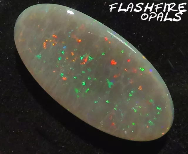 24,2 ct. Riesen Opal GEM aus  Allens Rise  Rot-Gold-Grün +Video  Flashfire-Opals